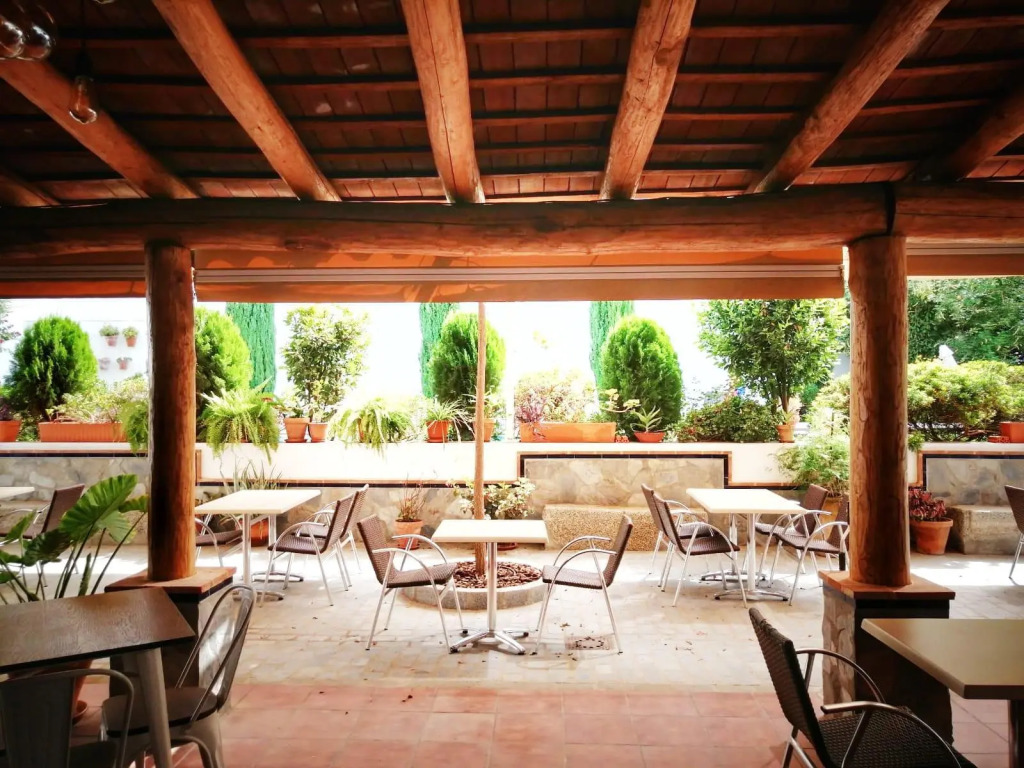 Hotel Entreolivos