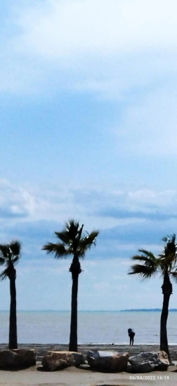 La casa de la playa