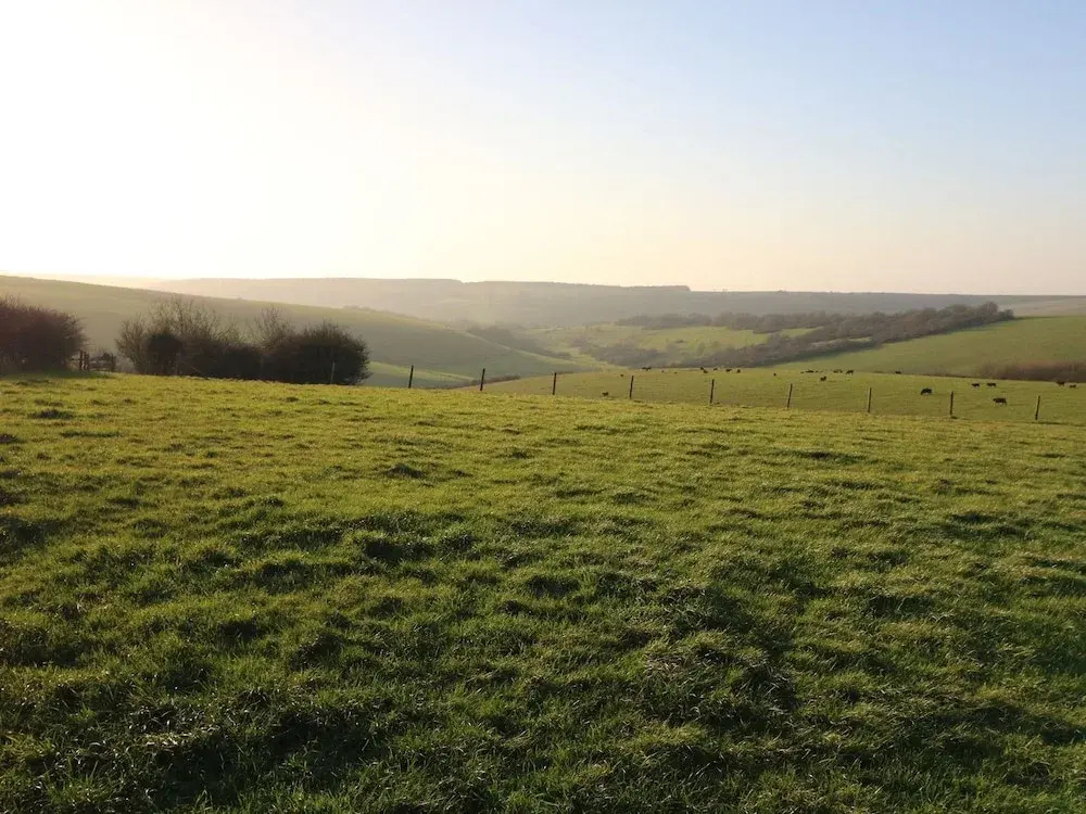 84A Wish Hill