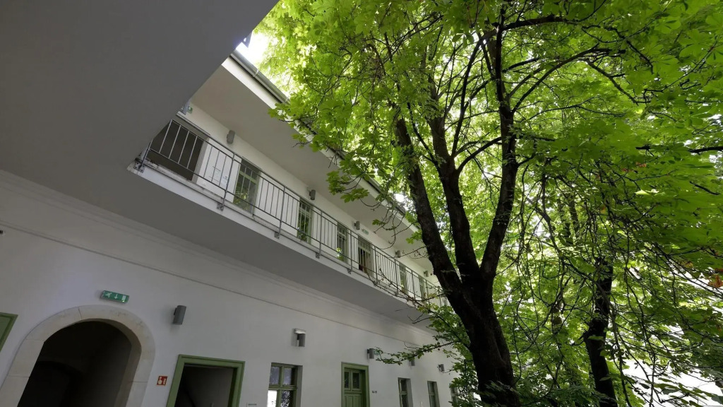 The Hive Party Hostel Budapest