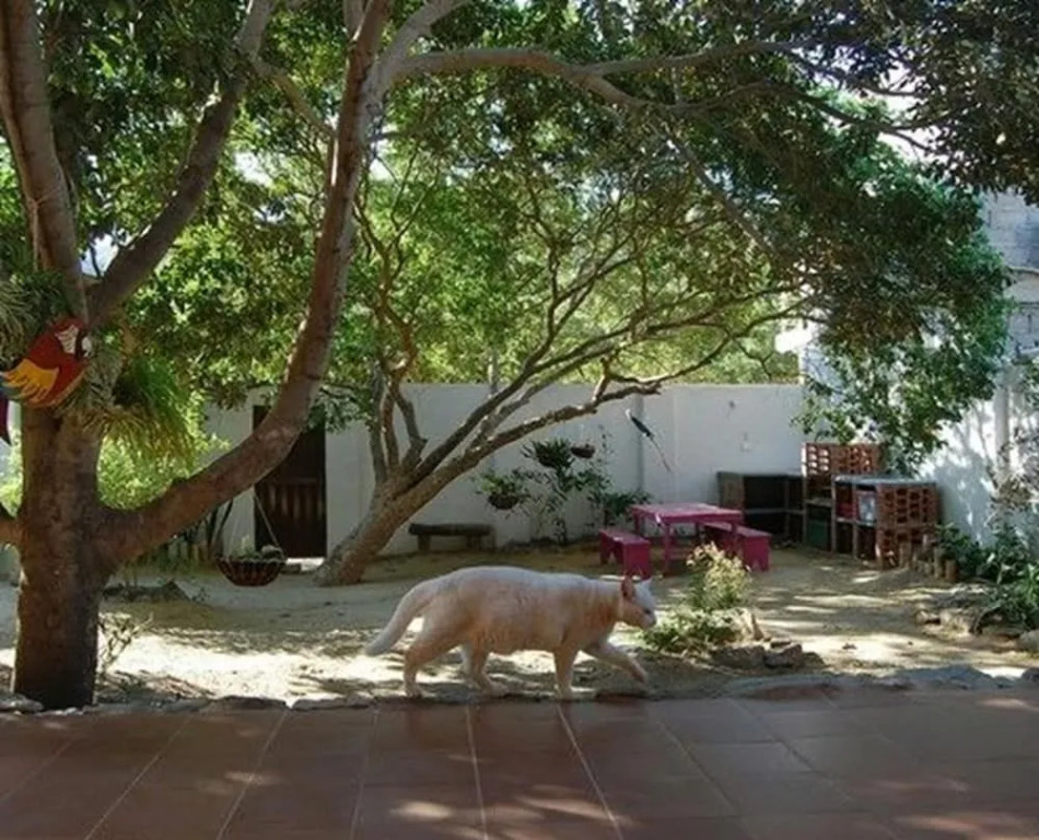 Casa Bella Mya