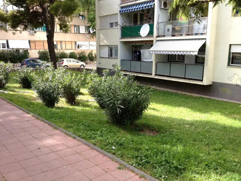 Sunny & Spacious, 2BD suite with free parking