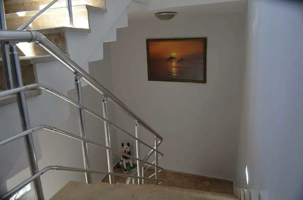 Has otel