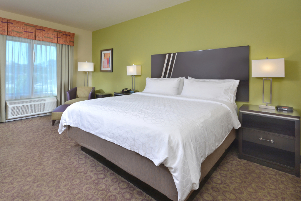Holiday Inn Express Hotel & Suites Clemson - University Area by IHG