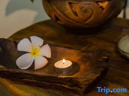 Dream Garden Villa Hotel Night Bazaar ChiangMai