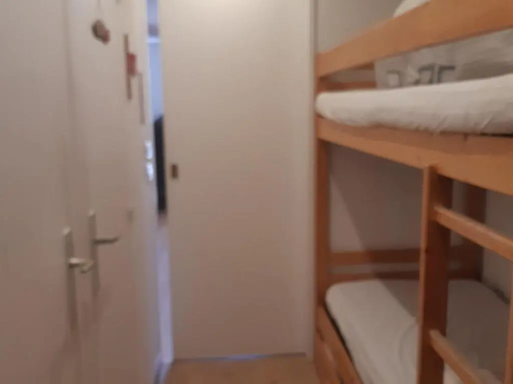 Appartement Les Deux Alpes, 1 pièce, 3 personnes - FR-1-516-132