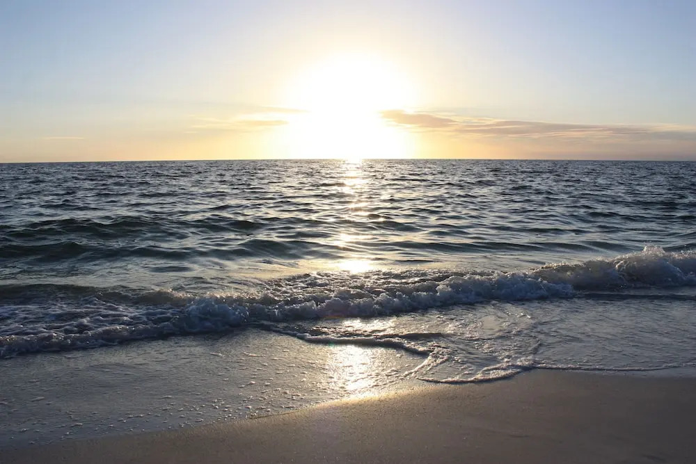 An Island Getaway at Palm Tree Villas