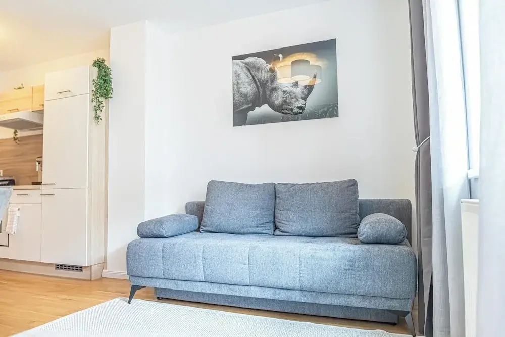 Comfortable 1BR 1LR City Center Apt