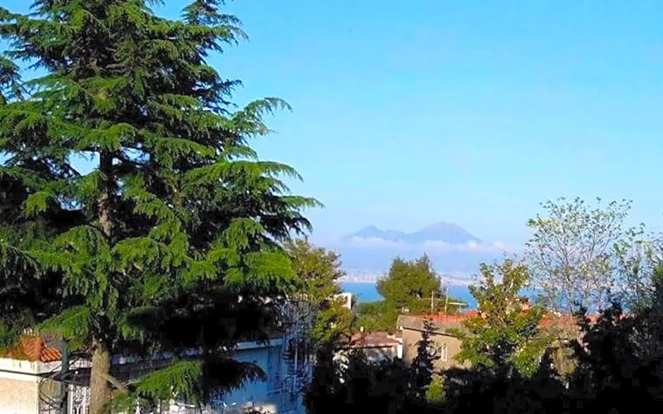 Le Rondini