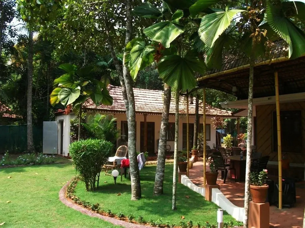 Vedanta Wake Up - Backwaters