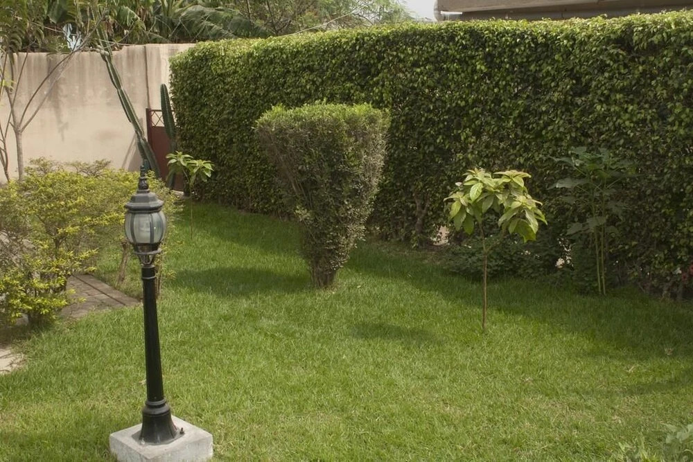Elmeiz Place Guest House
