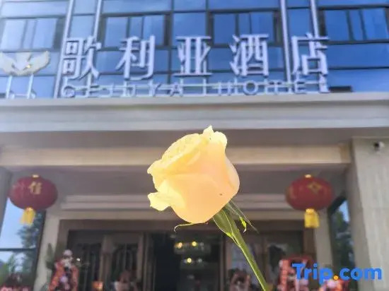 Dianjiang County Goliya Hotel