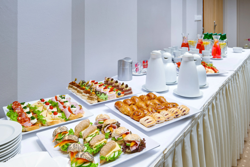 Congress & Wellness Hotel Olsanka