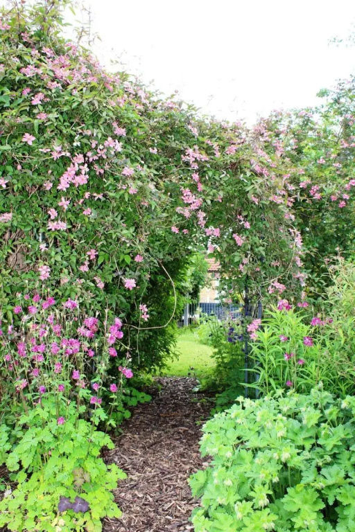 The Vine B & B