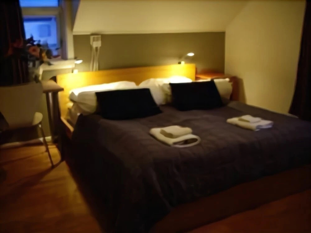 BB 44 Guest House