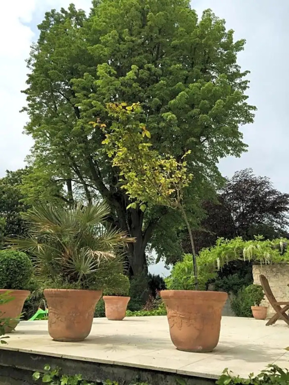 Le Castel Ecossais