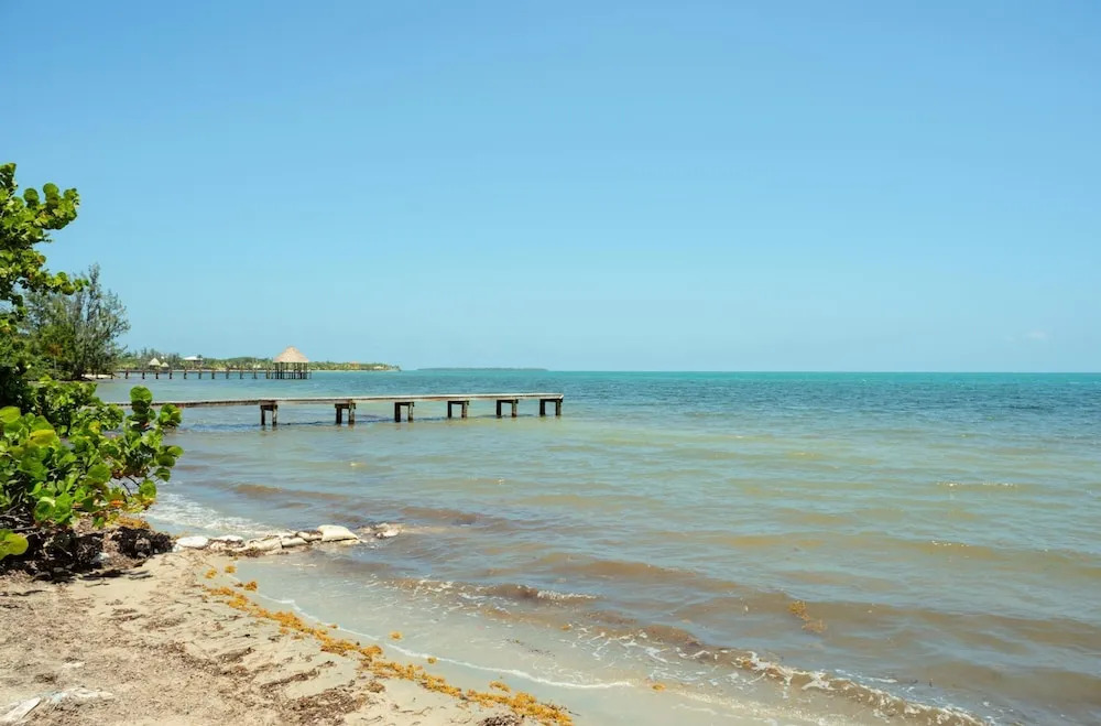 Surfside Gecko - Large Oceanfront Villa with Pool Close to Village