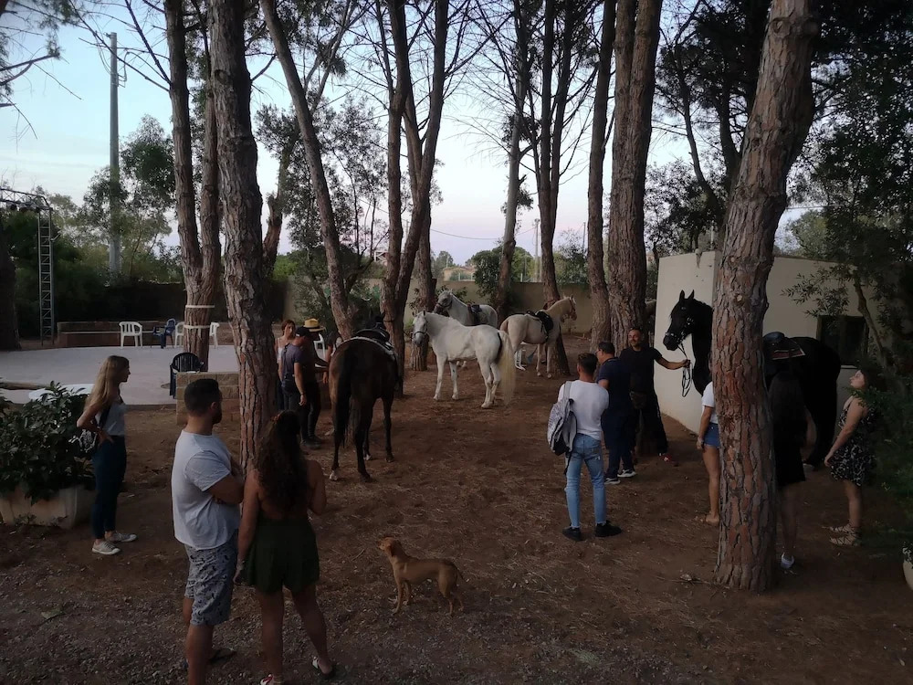 Village Camping Fico DIndia