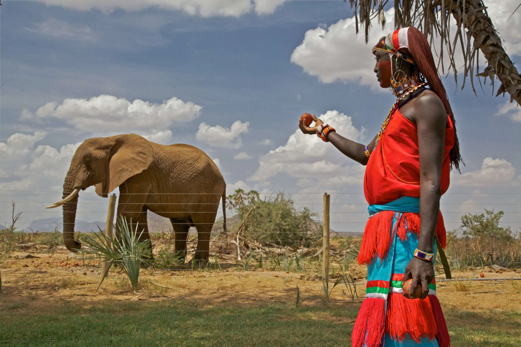 Ashnil Samburu Camp