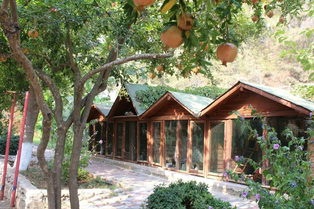Oranj Ranch Hotel