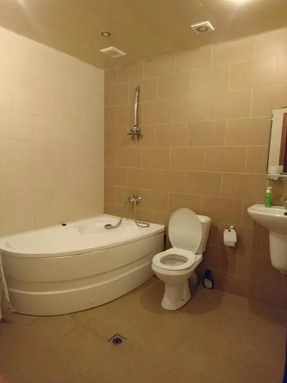 Luxury Apartment in the Centre of Yerevan