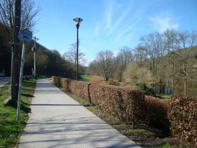 Le poirier de Warre