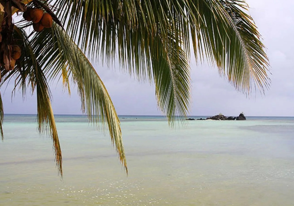 Tarzans Beach Resort