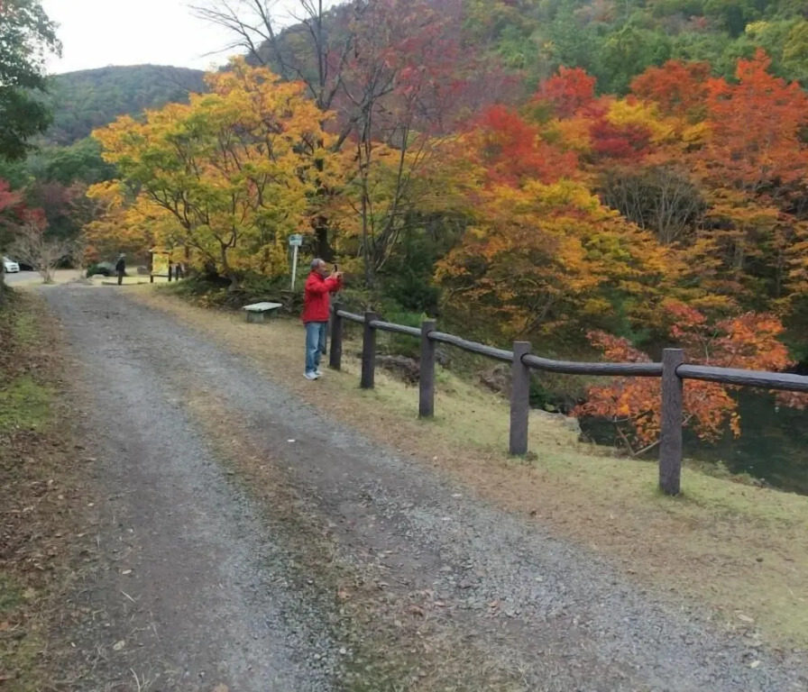 Hotel New Katsura