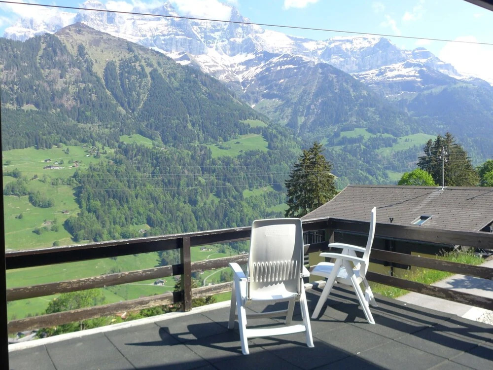 La Soldanelle Val-dilliez
