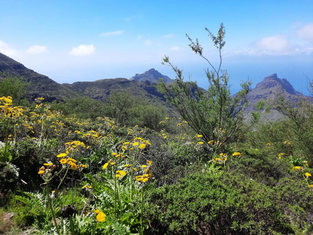 Castle Harbour Holiday Home Heated Pool Views by LoveTenerife