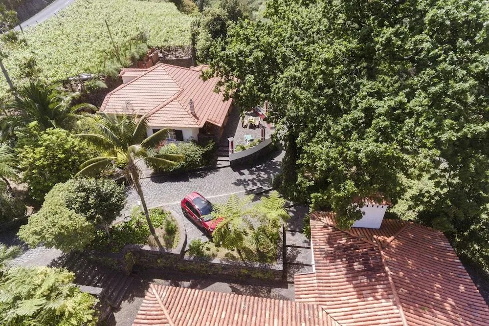 In Laurissilva Forest, Casa do Lanço -carvalho