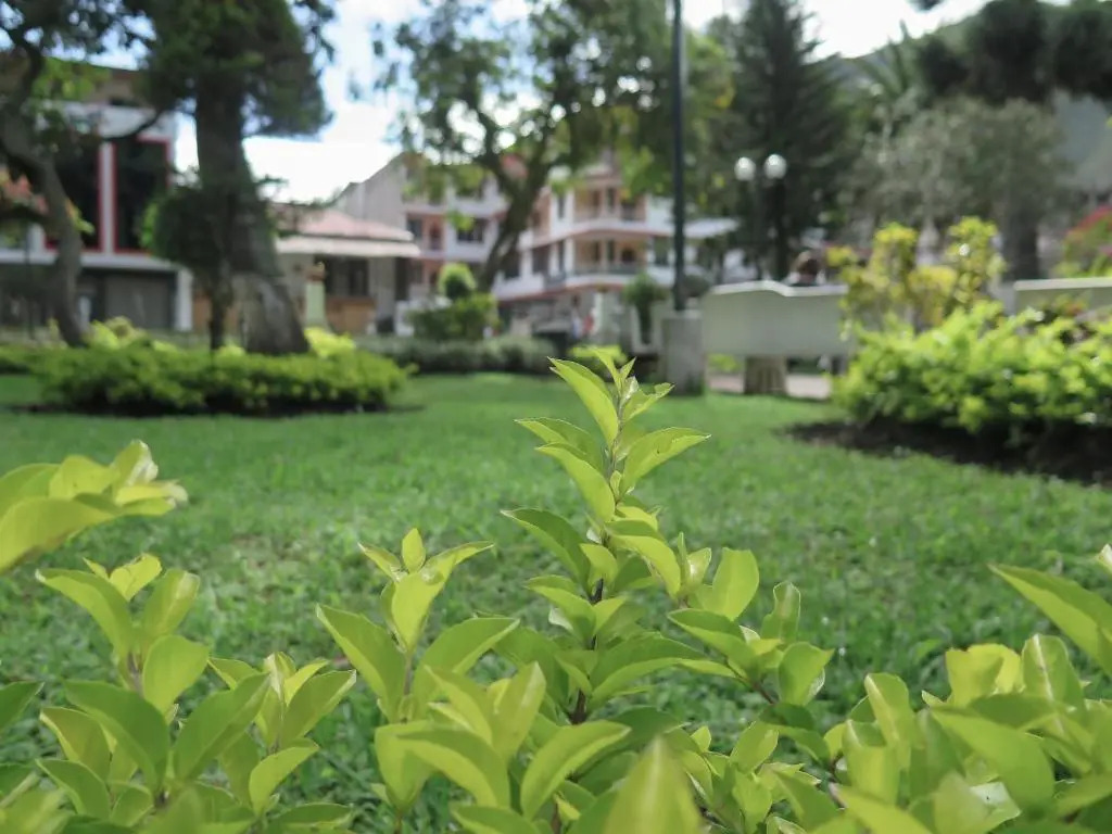 Hotel Flor de Oriente