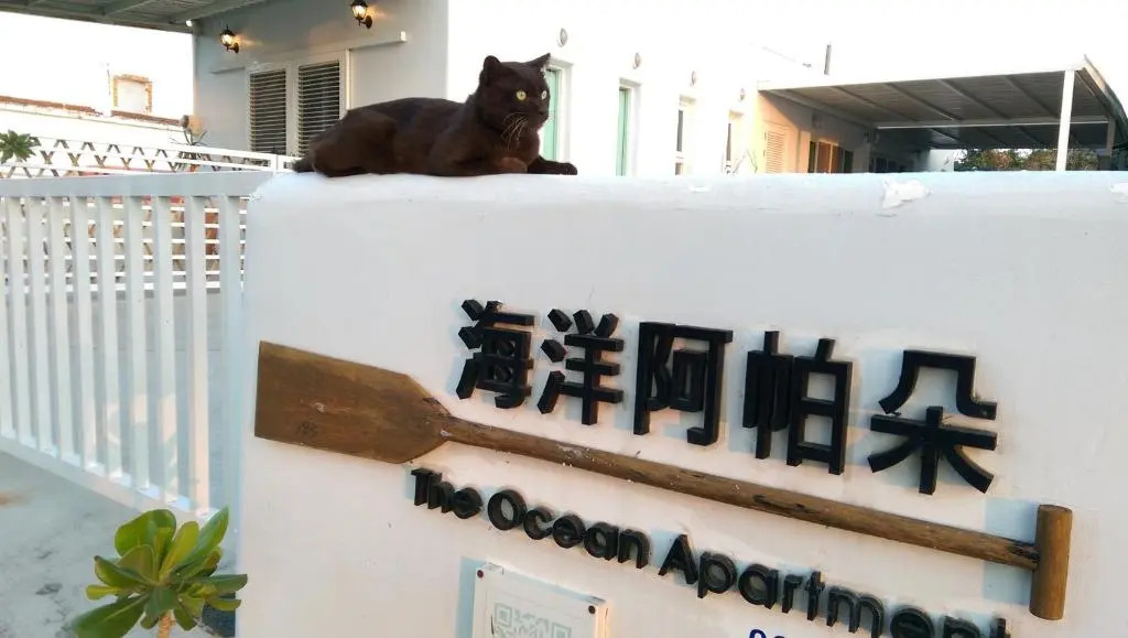 The Ocean Apartment