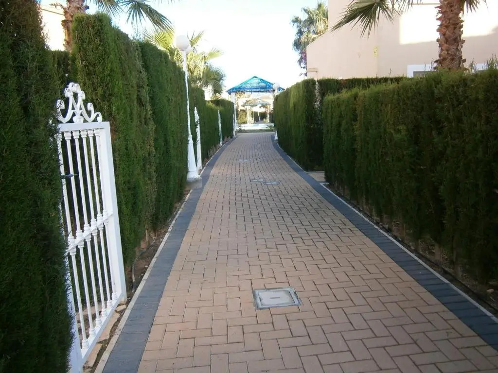 Ad1000 Malybu Beach Oliva Nova