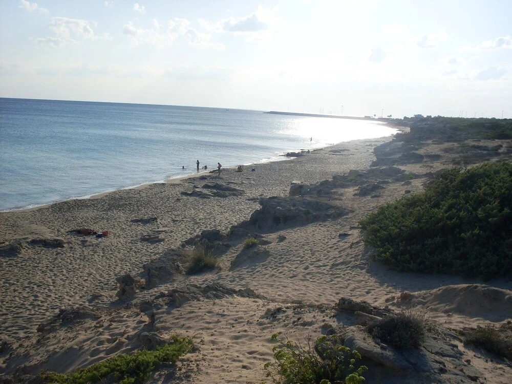 Villa Boschetto B&B - Apartments