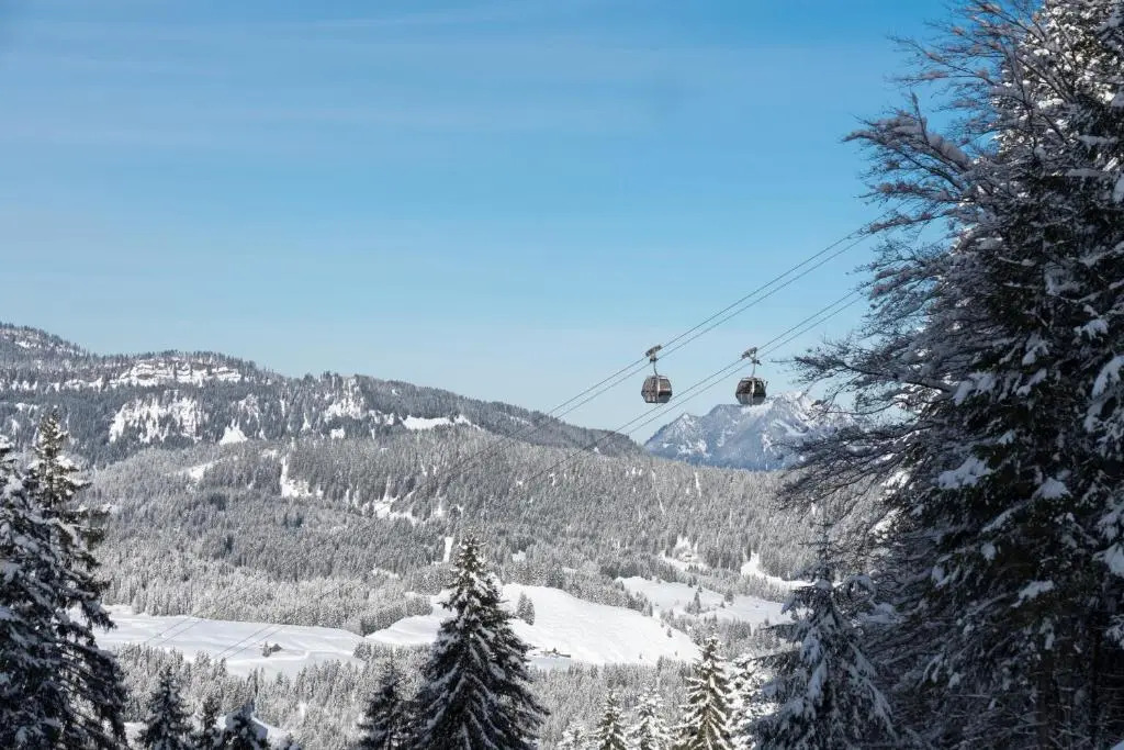 Oberstdorfer Bergwelt 246