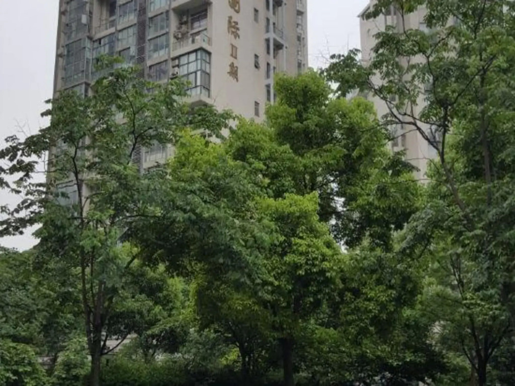 99 Chain Inn Shanghai Jinqiao Road