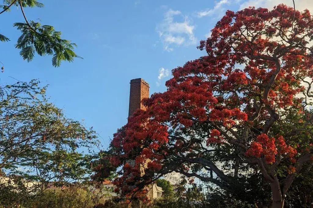 La Villa Do
