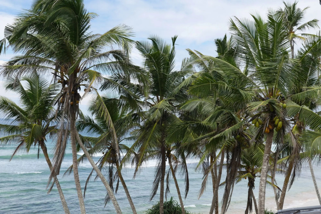 Surf Station