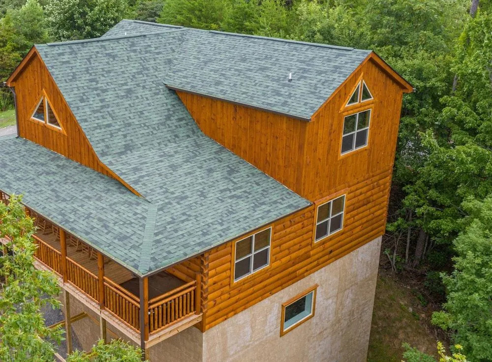 Mountain Bearadise