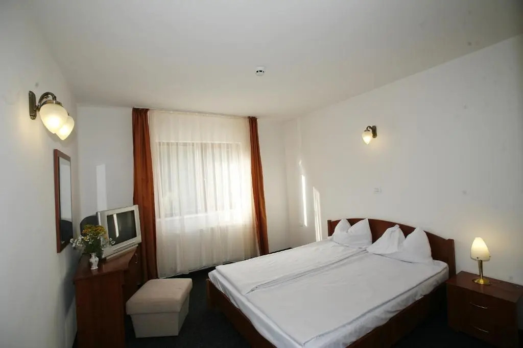 Hotel Paltinis