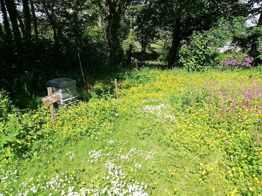The Spinney