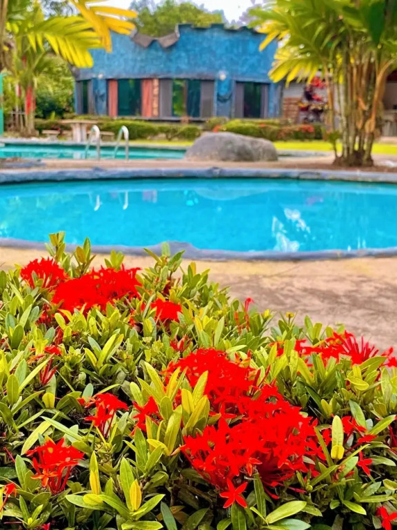 Puerto Quito Lodge - MonPar