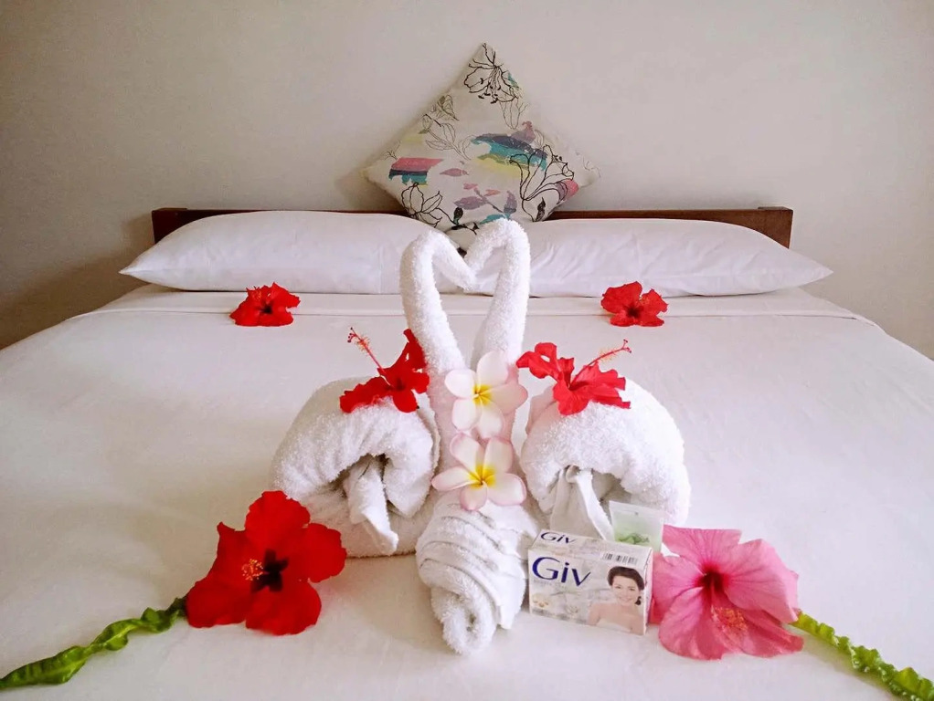 Tanna Evergreen Resort & Tours