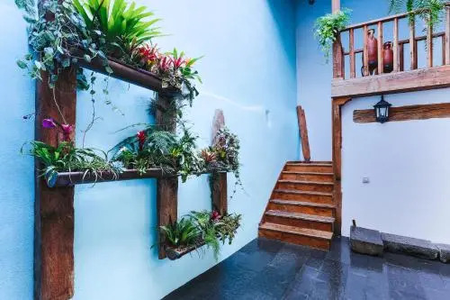Suites & Apartments Calle Real