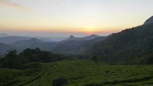Grace Inn Munnar Homestay