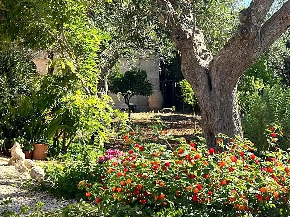 B&B Terra Cesarea