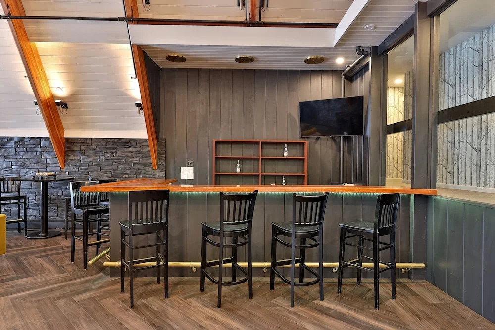 Rent An Inn! Takeover the Birch Ridge with your group, Mountain Lodge- 11 Rooms, Bar, Fireplace, 28ppl home