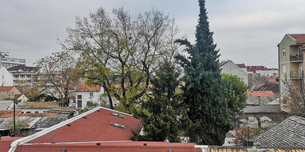 Filin Home Stefanovica 2