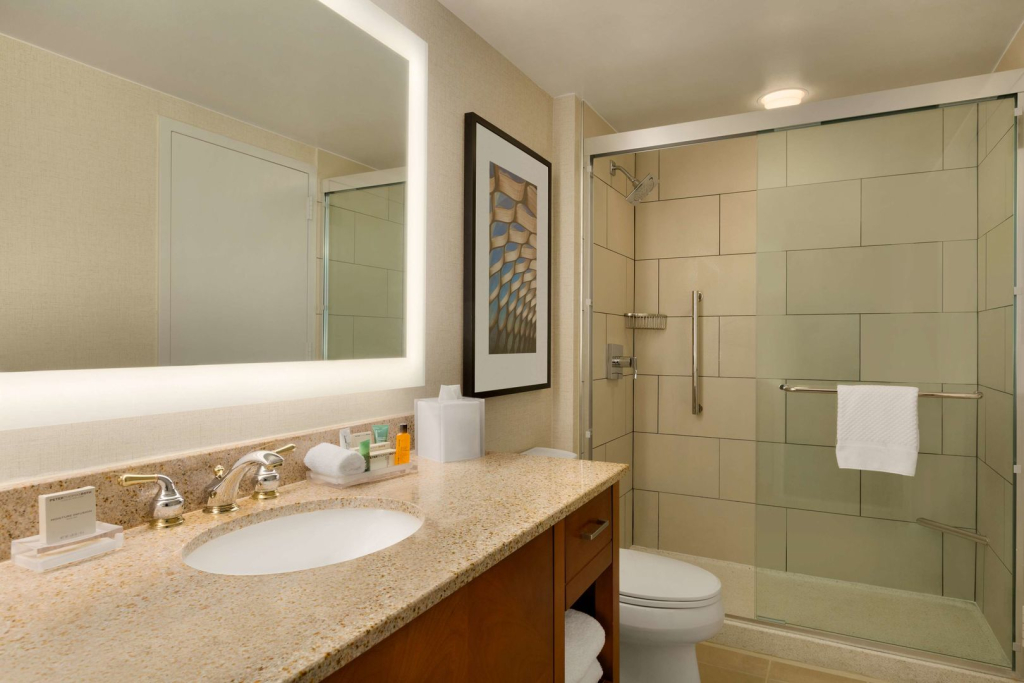 Hilton Chicago Magnificent Mile Suites